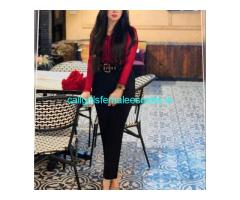 Call Girls in Vasant Kunj 8448224330 Verified Escorts