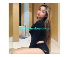 Full Enjoy↠ Call Girls In Sector 62 Noida ✨9871196385✨ Escorts Service