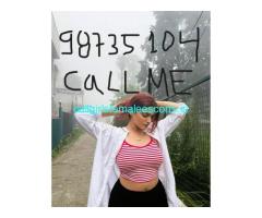 CALL GIRLS IN Najafgarh 98732=95104 ESCORT SERVICE✅