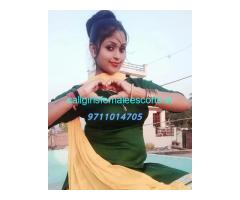 Verified Call Girls In Mukherjee Nagar →꧂(Delhi) +91-9711014705
