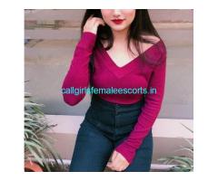 Call Girls in Delhi  8448224330 Delhi Call Girl Service